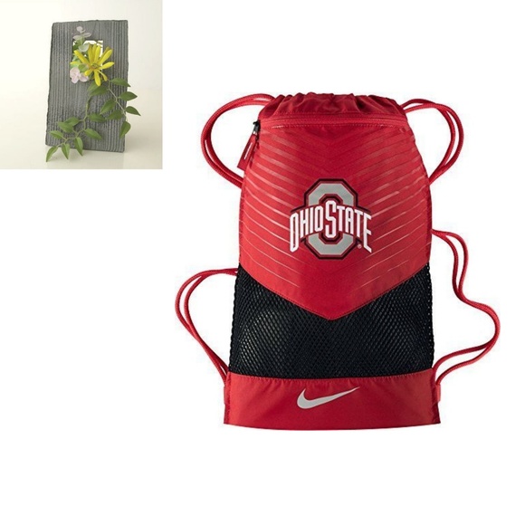 ohio state nike vapor backpack